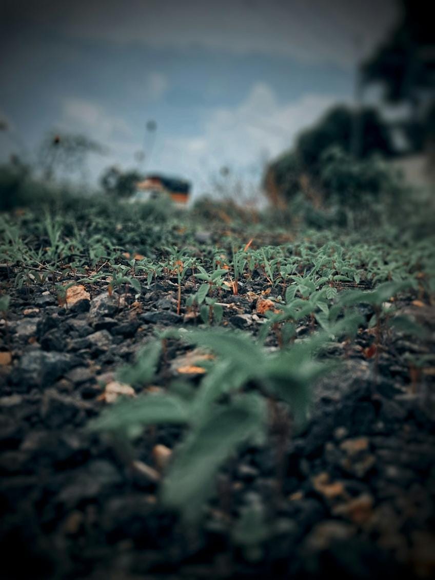 gelecek vizyonu, bölgesel genişleme, yatırım stratejisi Geleceğe yönelik vizyon ve bölgesel genişleme planlarını içeren bir yatırım stratejisi grafiği