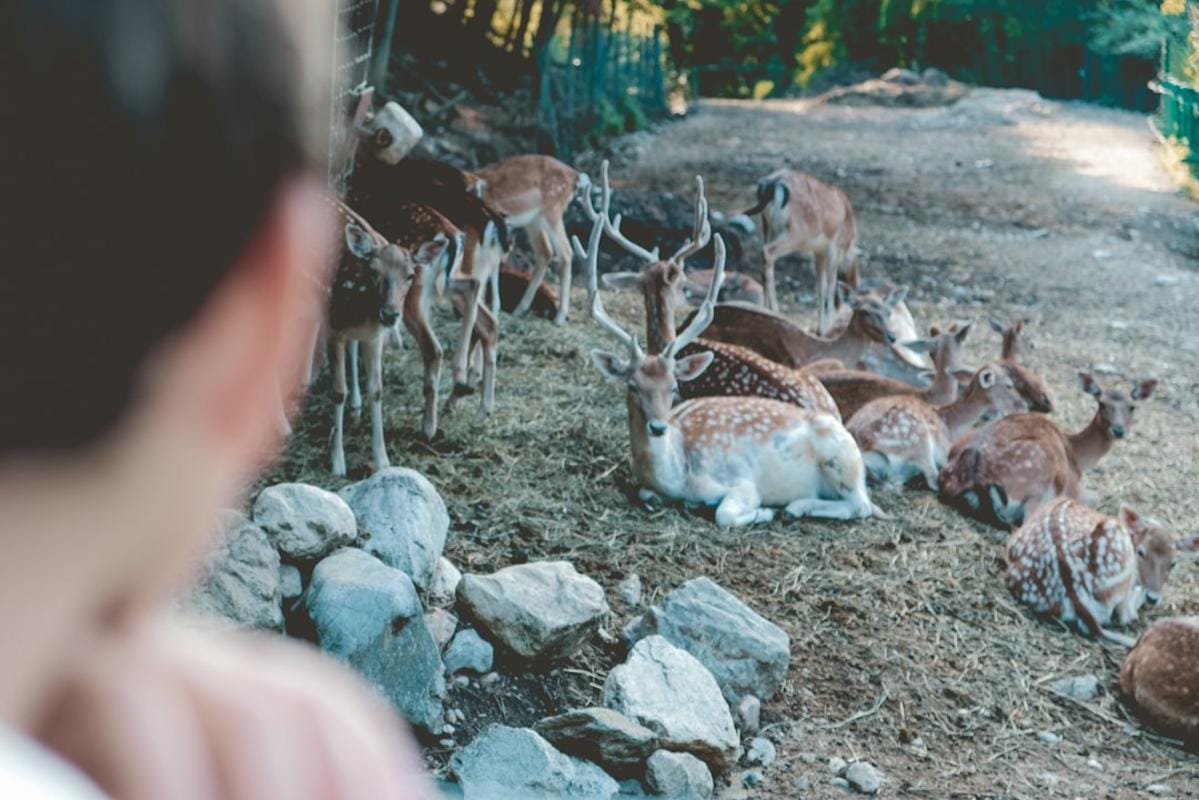Gençlerin geleceğin mesleklerine ilgi gösterdiği, eğitim ve kariyer danışmanlarının toplantıda yer aldığı görsel