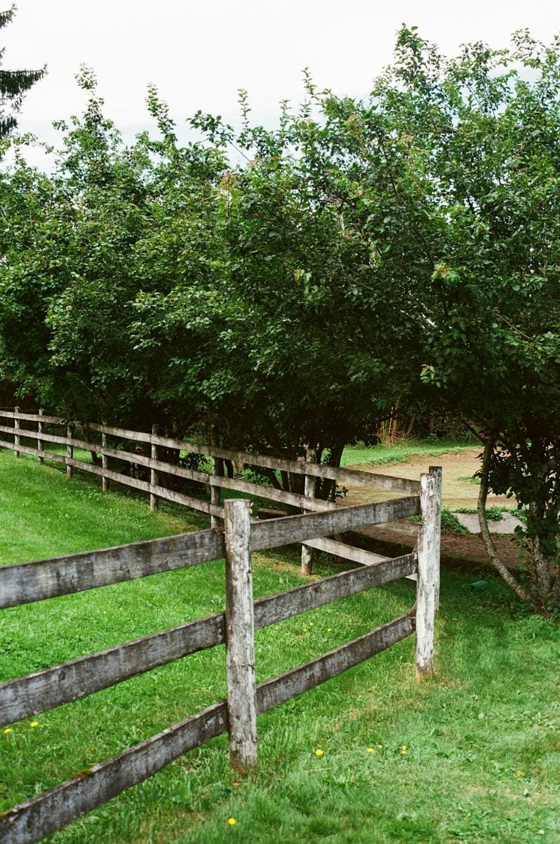 a professional stock chart showing American Public Education's positive earnings impact