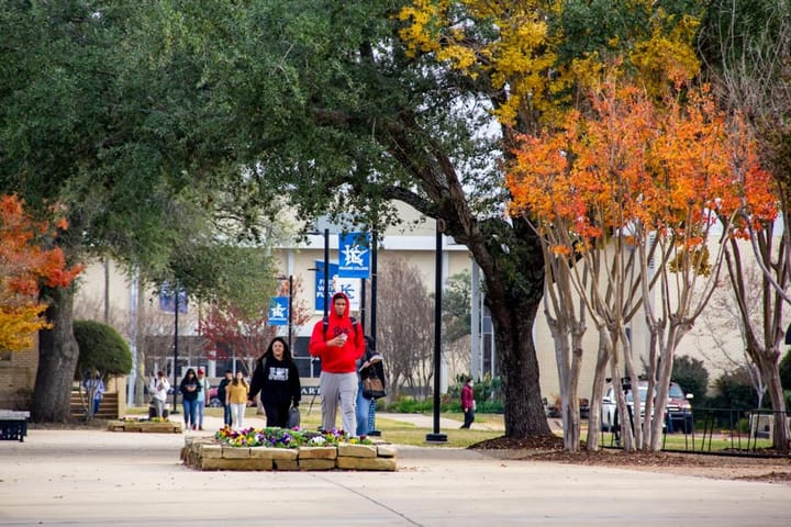 Yurt Dışında Eğitimle Kariyer ve Kişisel Gelişimde Yeni Ufuklar Açmak